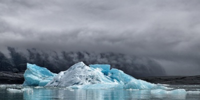 apre il dettaglio dell'articolo:natura verde a sinistra e natura morta a destra